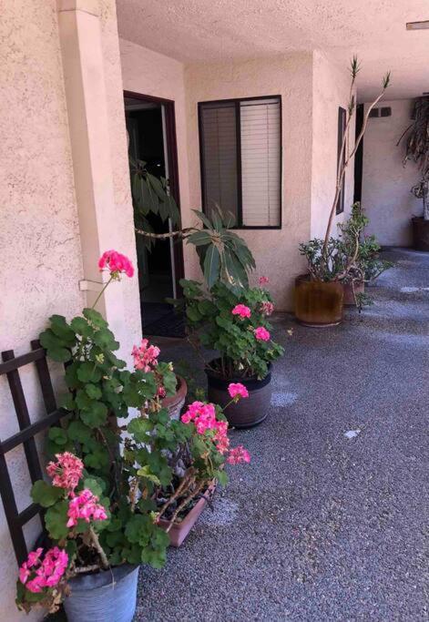 Apartamento Location West La Spacious With Hottub Los Ángeles